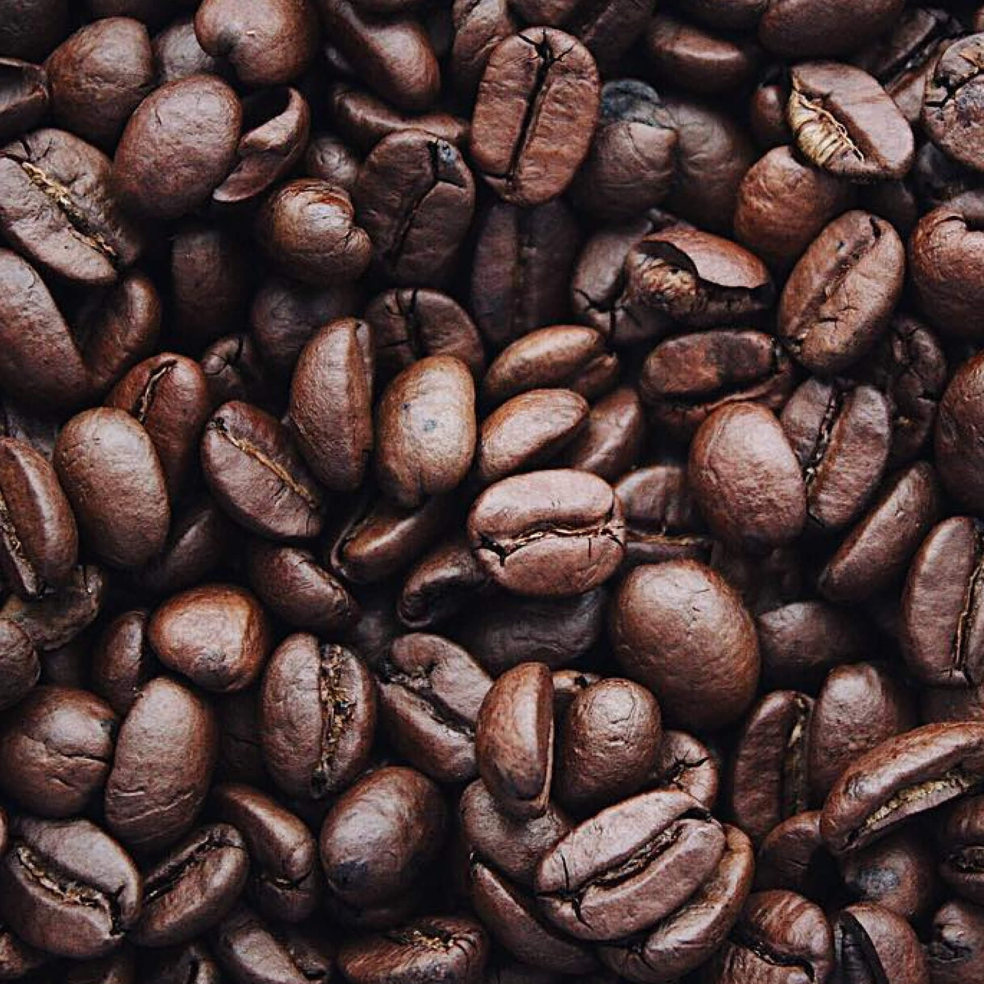 Signature House Blend — Whole Bean Coffee (300g)